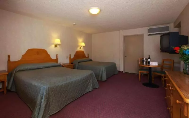 Fotos del hotel La Villa De Zaragoza:  3