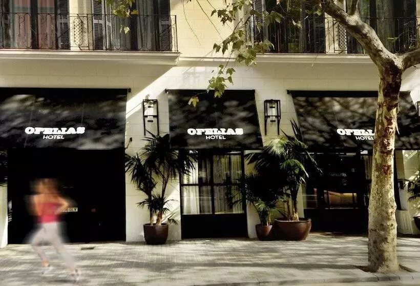 Fotos del hotel Ofelias  4 Sup:  7