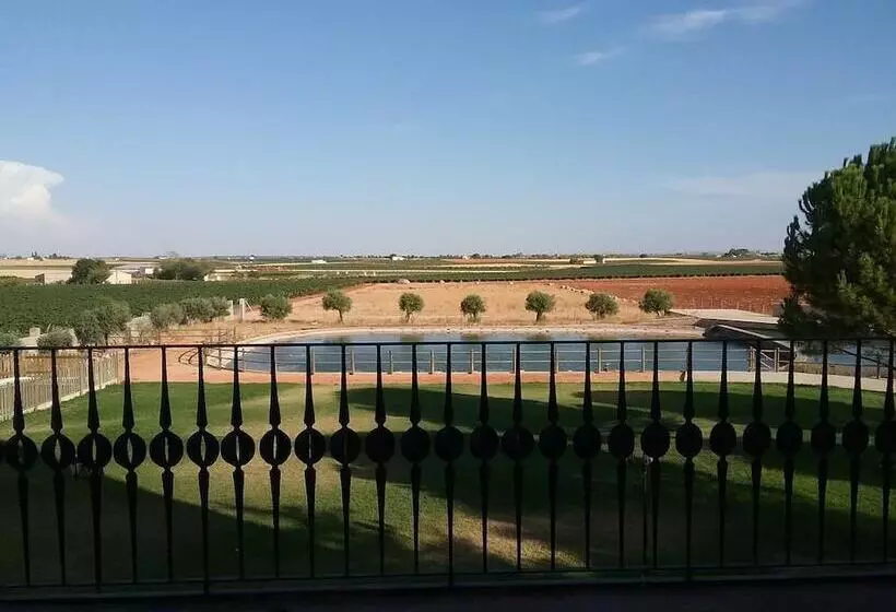 Fotos del hotel Viñedos Y Bodegas El Castillo:  5