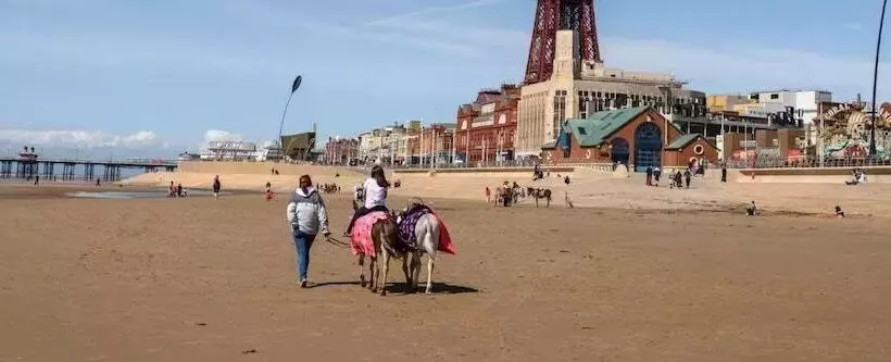 Fotos del hotel Jesmond International Hotel:  18