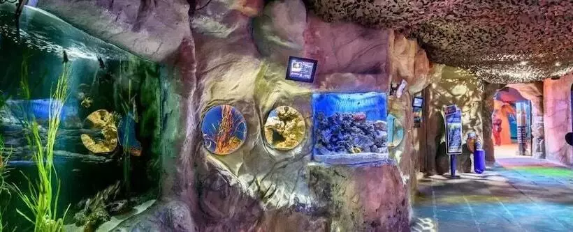 Fotos del hotel Jesmond International Hotel:  14