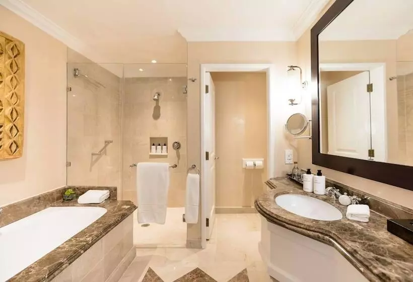 Fotos del hotel Intercontinental Johannesburg Or Tambo Airport , An Ihg:  18