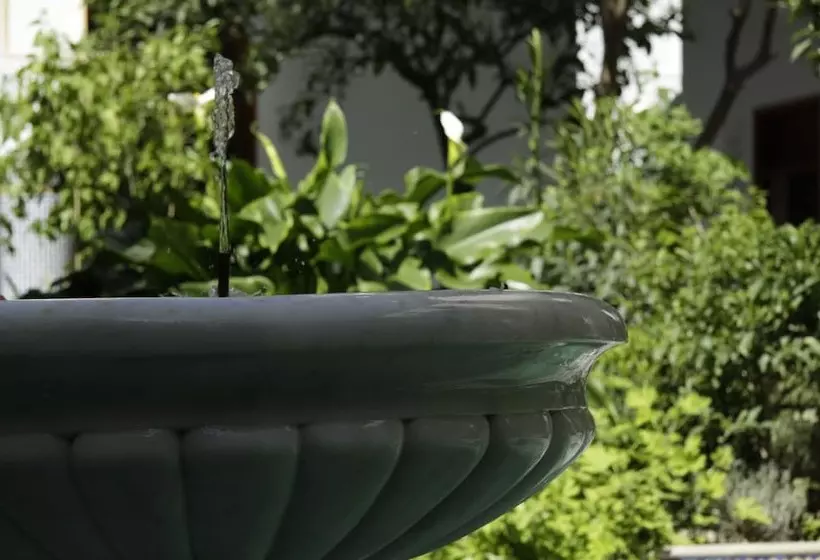 Fotos del hotel Palais Amani:  4