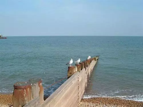 Fotos del hotel The Berkeley Guesthouse:  2