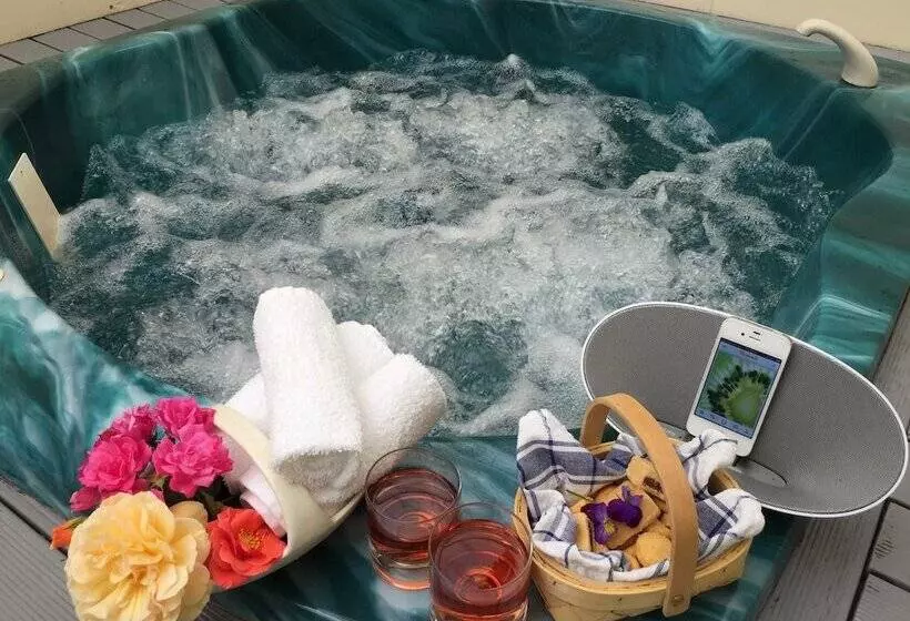 Fotos del hotel Rotorua Coachman Spa Motel:  22