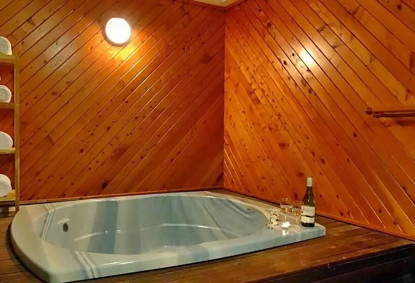 Fotos del hotel Rotorua Coachman Spa Motel:  11