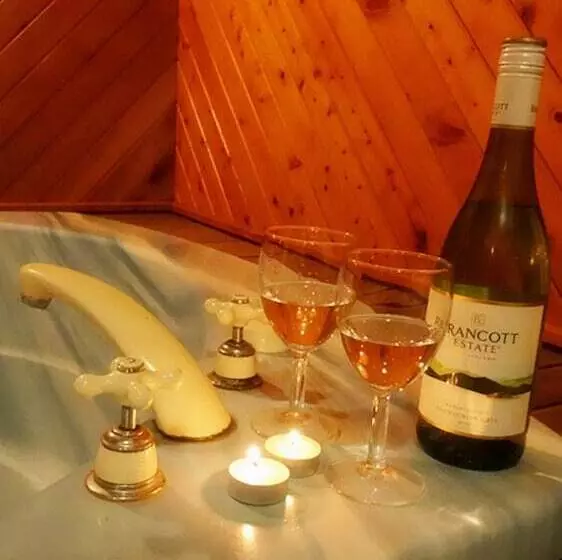 Fotos del hotel Rotorua Coachman Spa Motel:  18