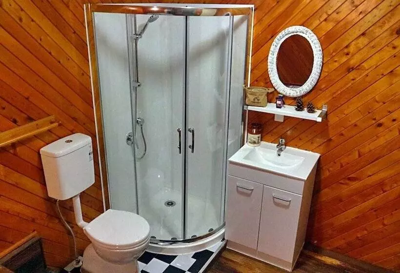 Fotos del hotel Rotorua Coachman Spa Motel:  7