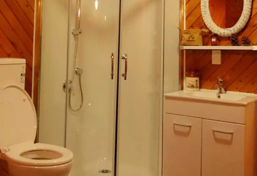 Fotos del hotel Rotorua Coachman Spa Motel:  14