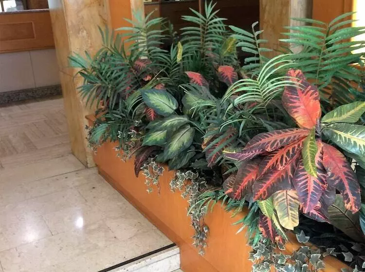 Fotos del hotel Città Studi:  7