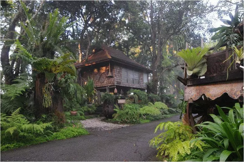 Fotos del hotel Fern Paradise:  11