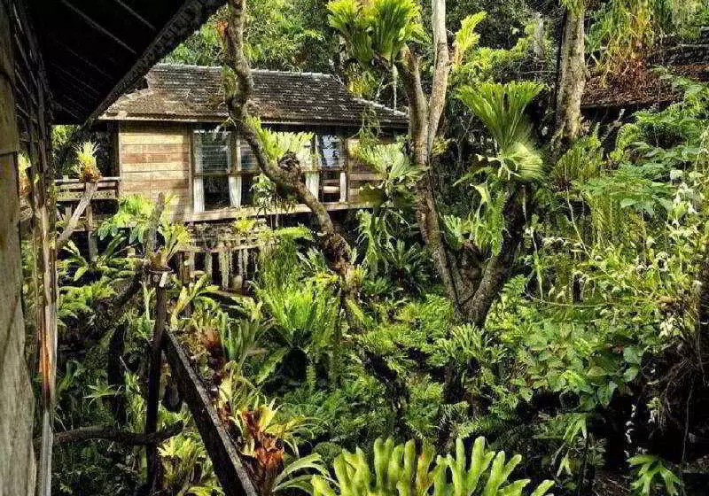 Fotos del hotel Fern Paradise:  5