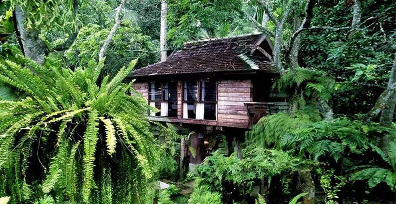 Fotos del hotel Fern Paradise:  2