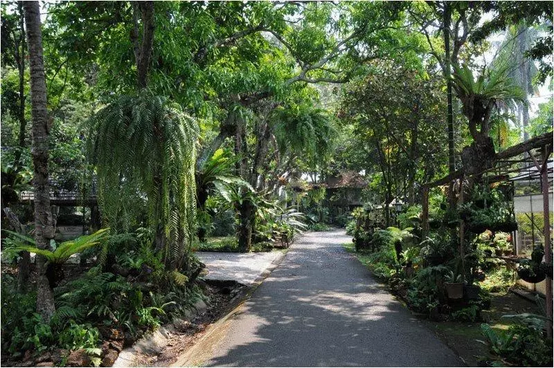 Fotos del hotel Fern Paradise:  14