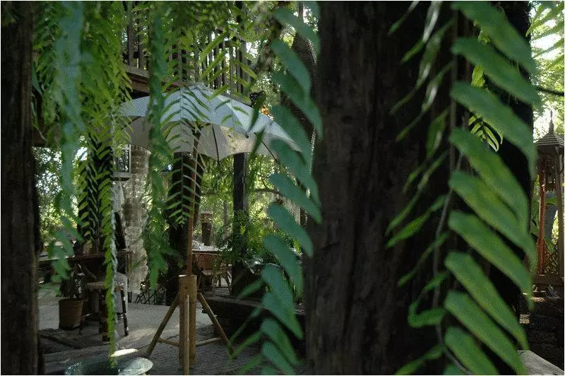 Fotos del hotel Fern Paradise:  8