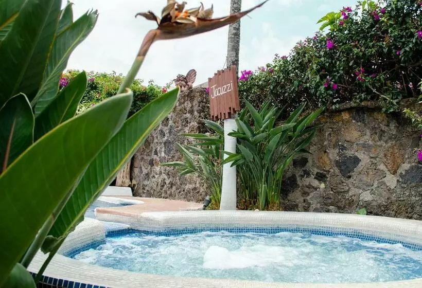 Fotos del hotel Vf:  12