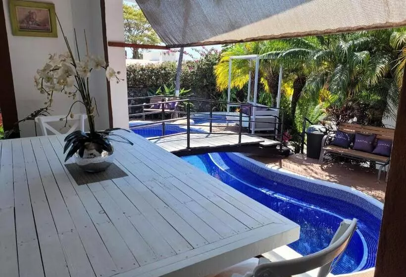 Fotos del hotel Vf:  9