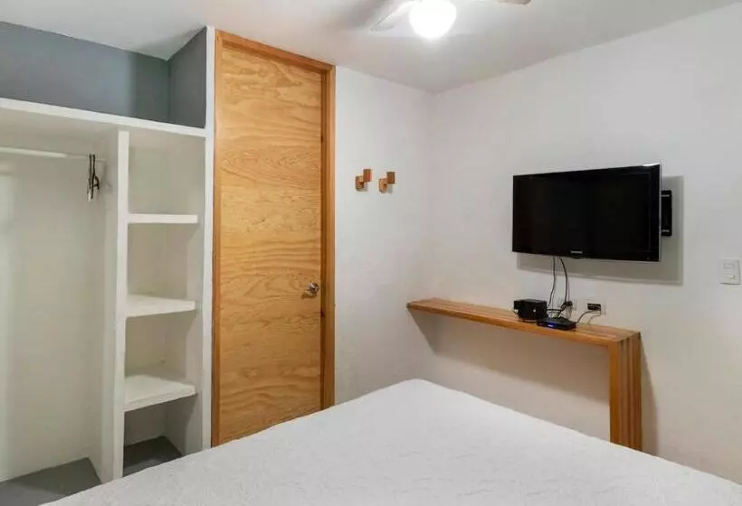 Fotos del hotel Vf:  7