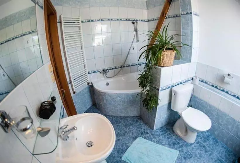 Fotos del hotel Penzion Svet:  4