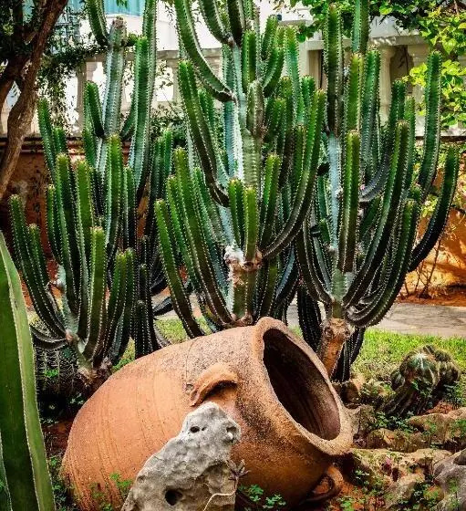 Fotos del hotel Malia Mare:  7