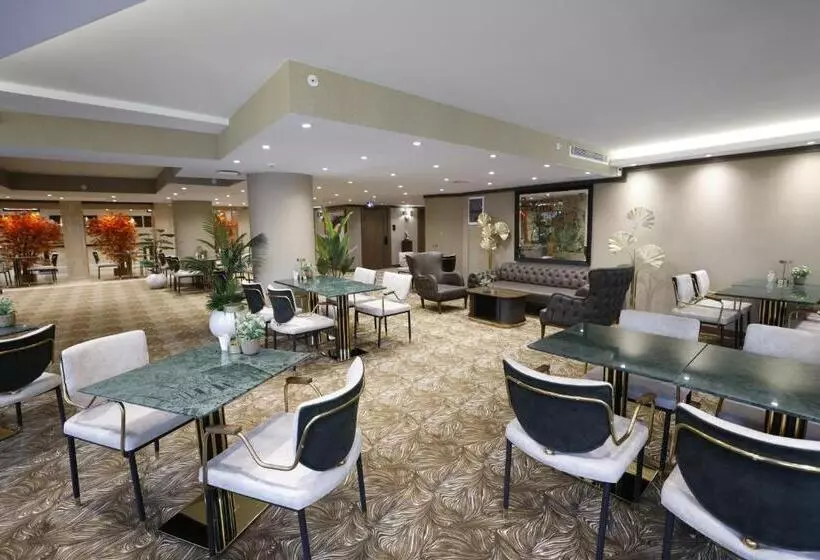 Fotos del hotel Ankara Princess:  14