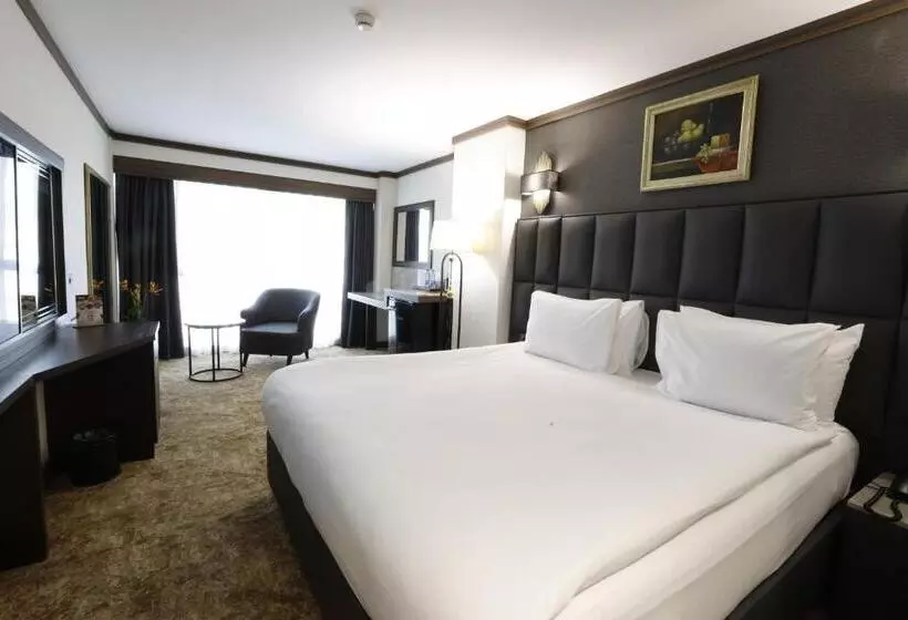 Fotos del hotel Ankara Princess:  20