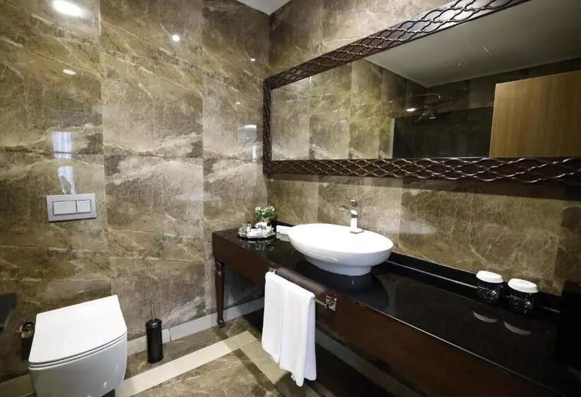 Fotos del hotel Ankara Princess:  7