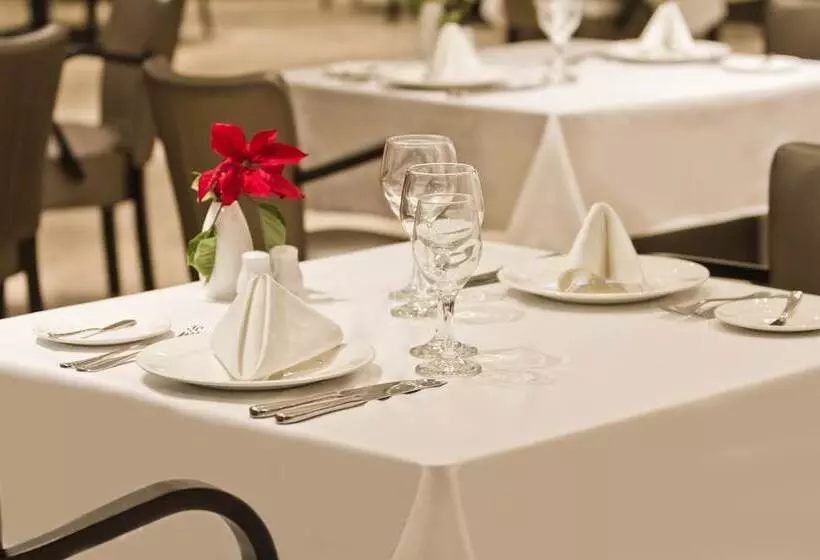 Fotos del hotel Divinus:  17