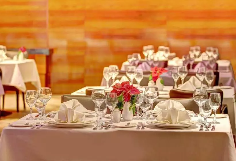 Fotos del hotel Divinus:  18