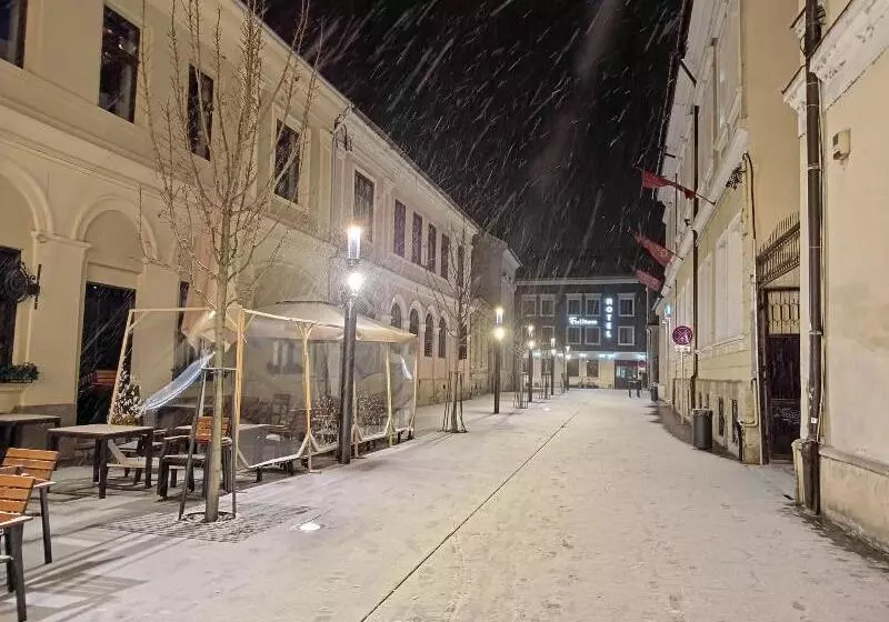 Fotos del hotel Fullton Central:  7