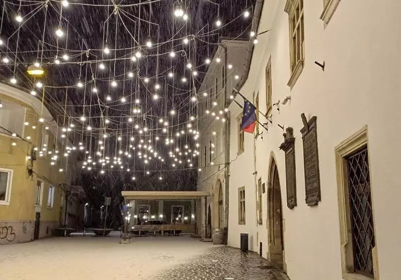 Fotos del hotel Fullton Central:  11