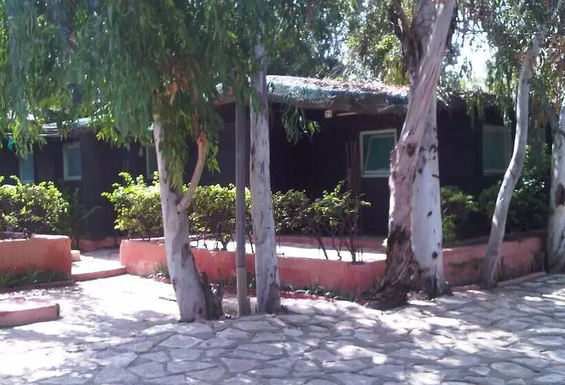 Fotos del hotel La Voile D Or:  24