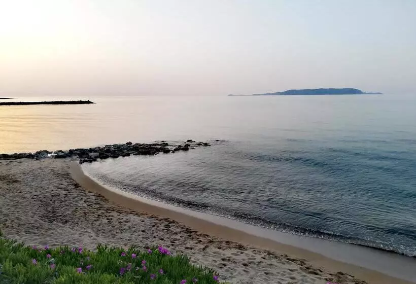 Fotos del hotel Sunset Beach:  19