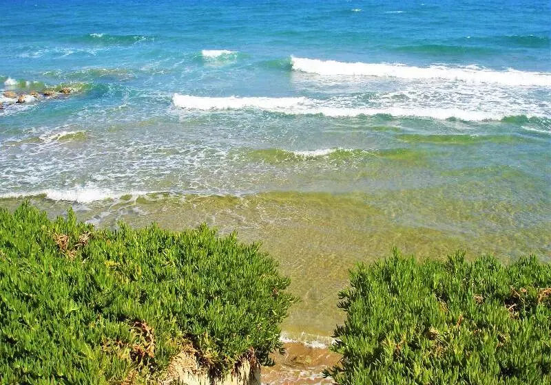 Fotos del hotel Sunset Beach:  16