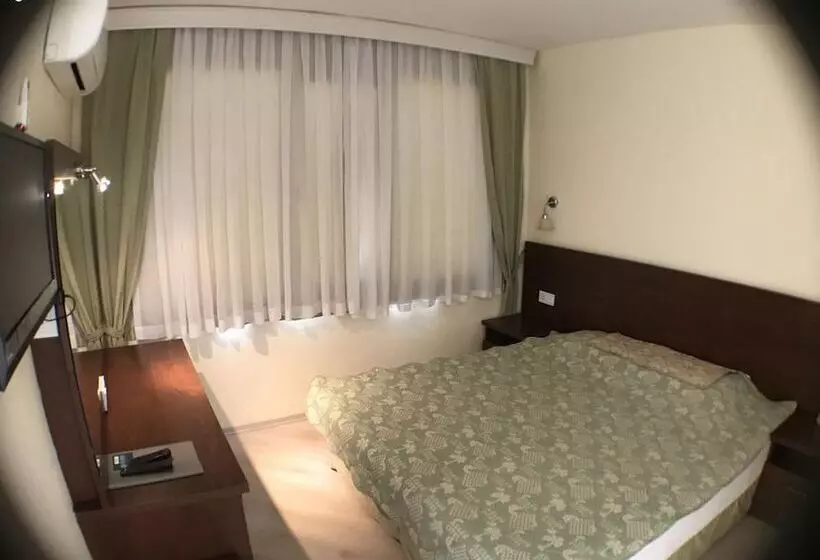 Fotos del hotel Ataer:  10