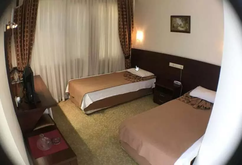 Fotos del hotel Ataer:  13