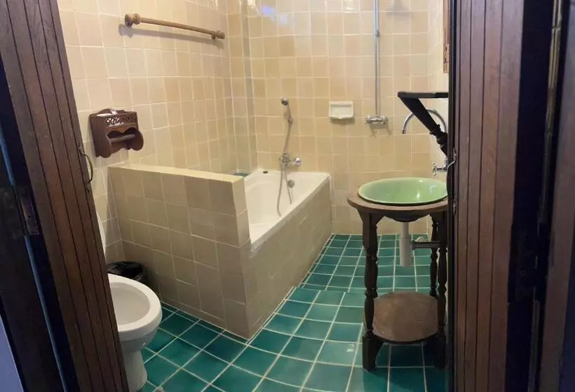 Fotos del hotel The Royal Shilton Resort:  7