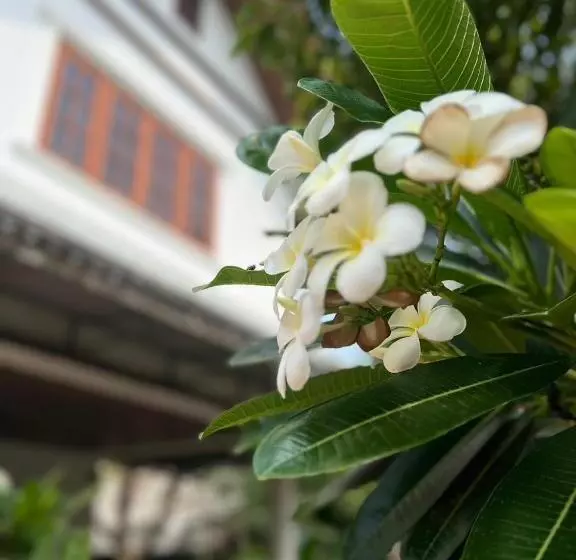 Fotos del hotel The Royal Shilton Resort:  13