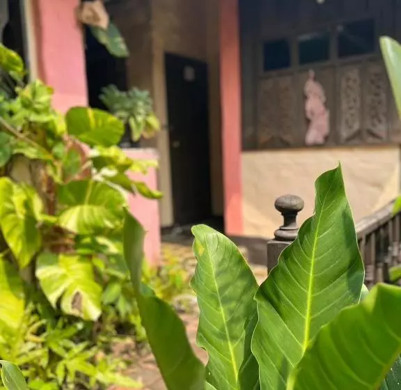 Fotos del hotel The Royal Shilton Resort:  8