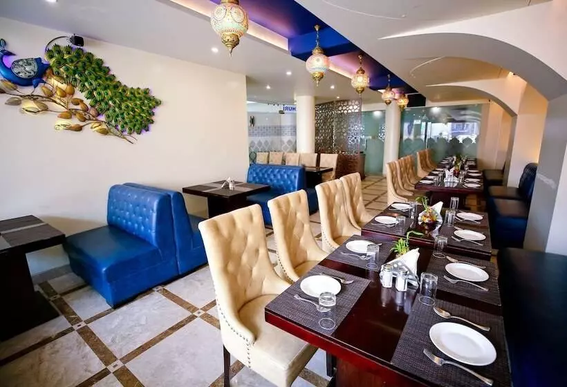 Fotos del hotel Hotel Moti Palace:  4