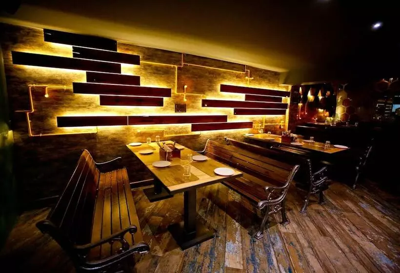 Fotos del hotel Hotel Moti Palace:  13