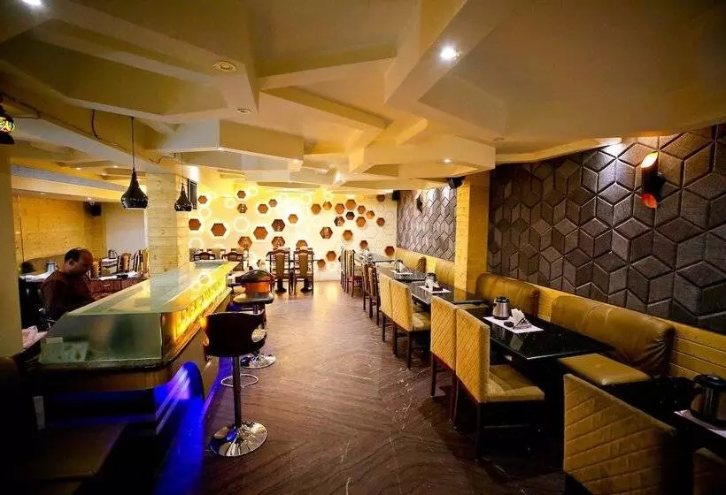 Fotos del hotel Hotel Moti Palace:  15