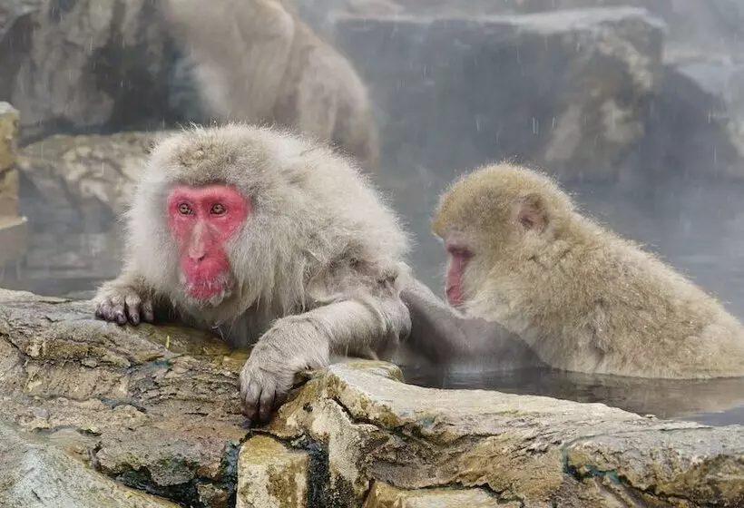 Fotos del hotel Shirakabaso Shigakogen:  6