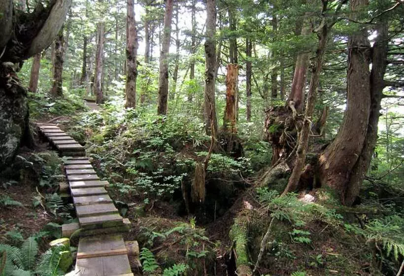 Fotos del hotel Shirakabaso Shigakogen:  9