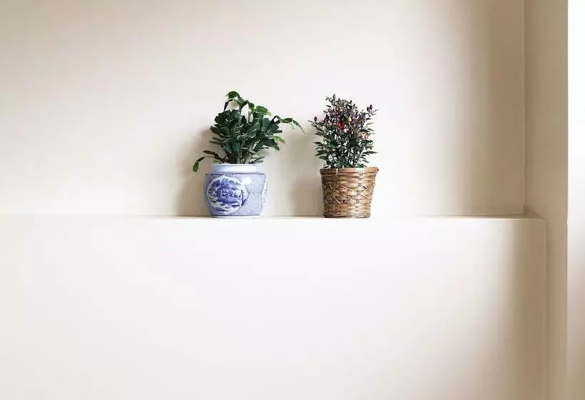 Fotos del hotel Shirakabaso Shigakogen:  18