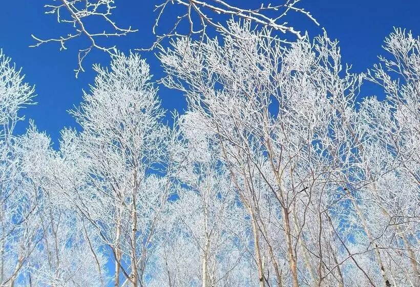 Fotos del hotel Shirakabaso Shigakogen:  24