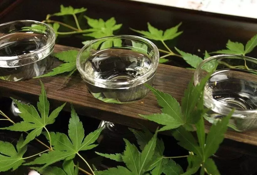 Fotos del hotel Kinugawa Onsen Sanraku:  22