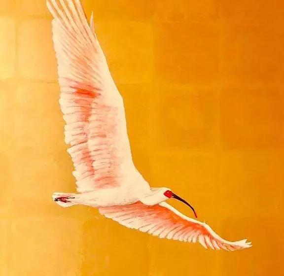 Fotos del hotel Oohashi Yakatanoyu:  10