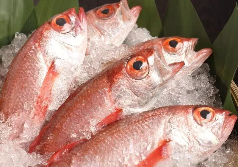 Fotos del hotel Oohashi Yakatanoyu:  16