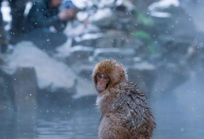 Fotos del hotel Ryokan Suminoyu:  10